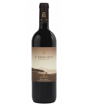 Il Bruciato Bolgheri DOC 2021