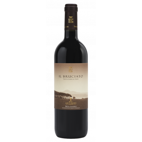 Il Bruciato Bolgheri DOC 2021