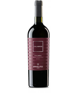 Ippolito CALABRISE  rosso IGT
