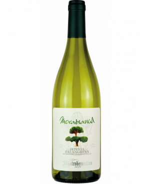 Morabianca Irpinia Falanghina DOC 2021