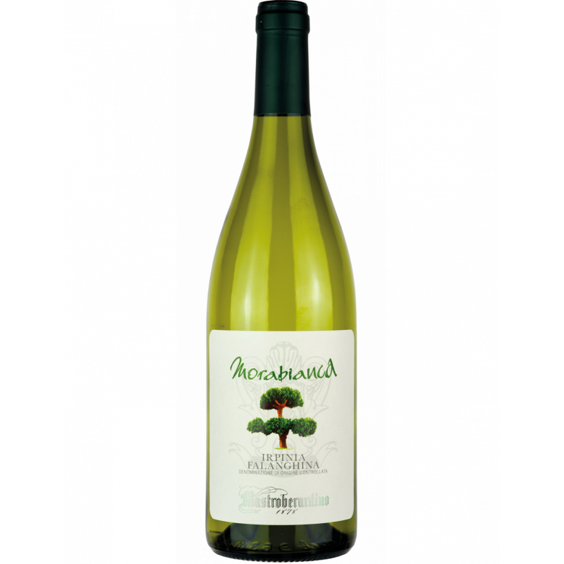 Morabianca Irpinia Falanghina DOC 2021 Morabianca Irpinia Falanghina DOC 2021