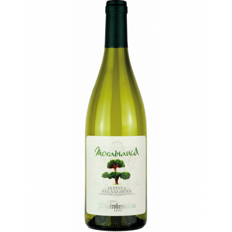 Morabianca Irpinia Falanghina DOC 2021