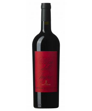 PIAN DELLE VIGNE Rosso di Montalcino 2022