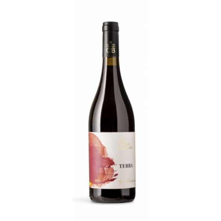 Vino Terra IGP Calabria Rosso 2022