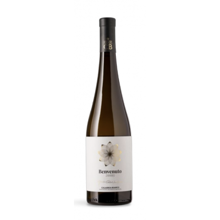 Vino Zibibbo IGP Calabria