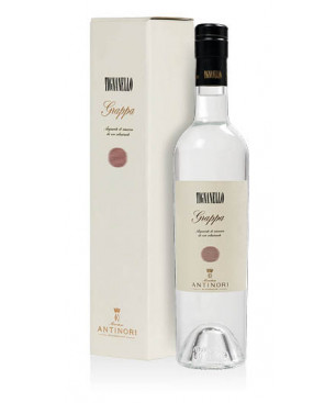 Grappa Antinori Tignanello