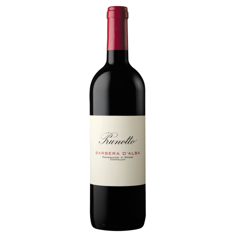 Barbera D'Alba DOC 2019 Prunotto