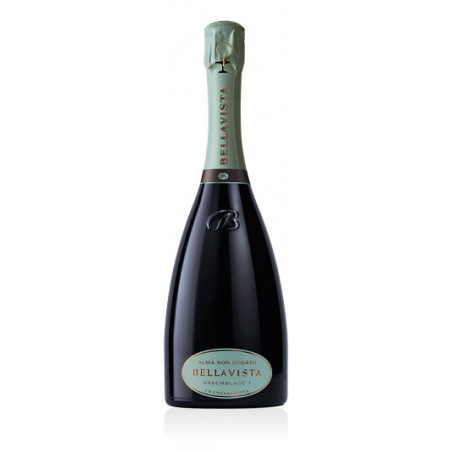 Bellavista Alma Dosaggio Zero Assemblage cl 75