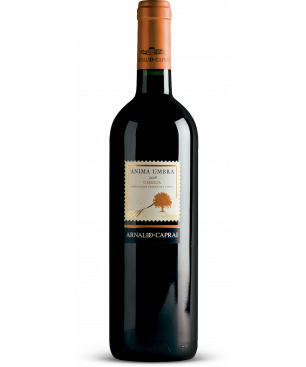 Anima Umbra Rosso 2020 Umbria Rosso IGT cl 75