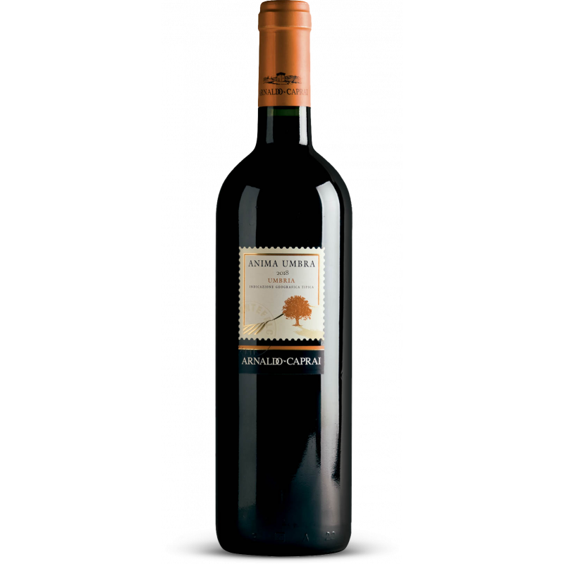 Anima Umbra Rosso 2020 Umbria Rosso IGT cl 75