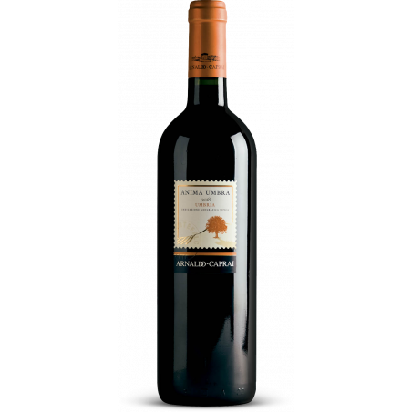 Anima Umbra Rosso 2020 Umbria Rosso IGT cl 75