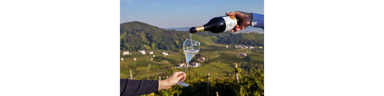 Prosecco