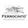 Cantina Ferrocinto